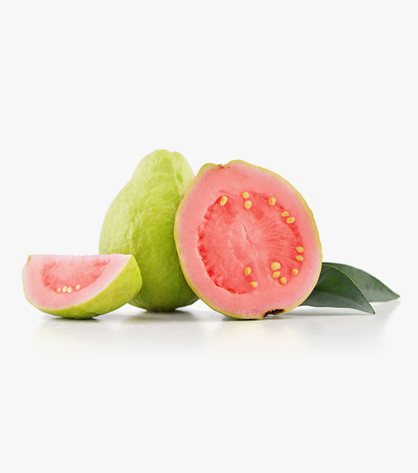 Fresh Product 11